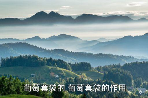 有什么農藥噴了葡萄袋的,葡萄用什么泡可以去農藥嗎