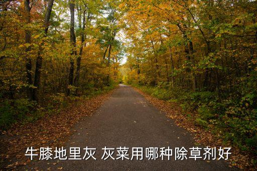 牛膝地里灰 灰菜用哪種除草劑好