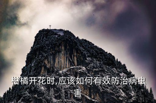 柑橘花期用什么農藥抗旱