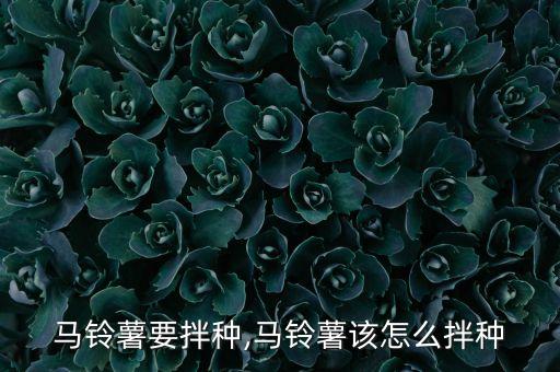 土豆種子用什么農藥殺菌