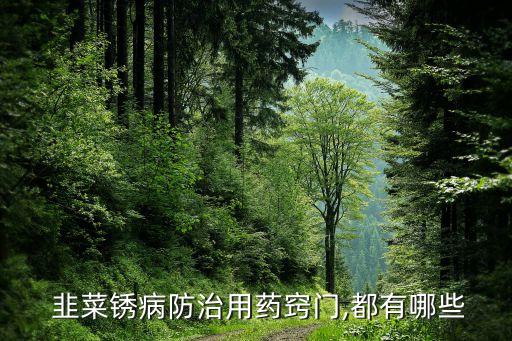 韭菜發(fā)黃有噴什么農(nóng)藥