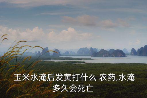 用什么農(nóng)藥防治玉米腐爛,玉米防治蚜蟲的長(zhǎng)效農(nóng)藥