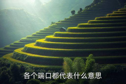各個端口都代表什么意思