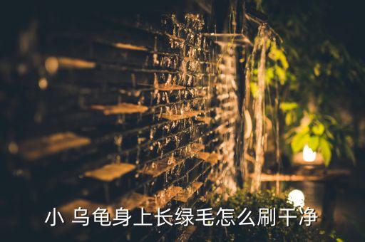 小 烏龜身上長綠毛怎么刷干凈