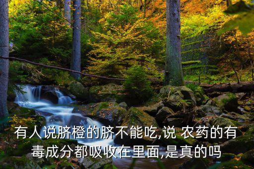 橙子什么農(nóng)藥不能打,橙子打農(nóng)藥多嗎