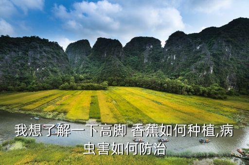 我想了解一下高腳 香蕉如何種植,病蟲害如何防治