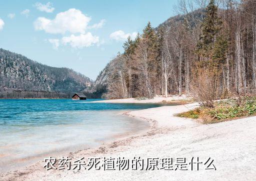  農藥殺死植物的原理是什么