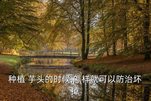 芋頭花用什么農藥殺菌殺蟲