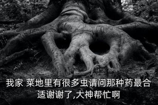 菜地有蟲打什么農藥好呢