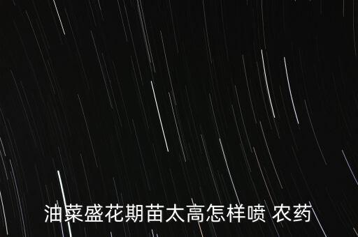 油菜盛花期苗太高怎樣噴 農藥