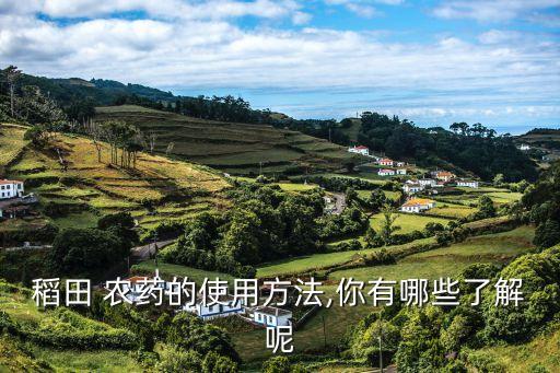 水稻打農藥應注意什么,水稻農藥大全