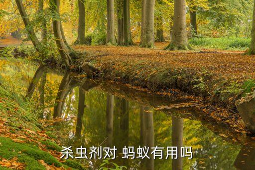 殺蟲劑對 螞蟻有用嗎