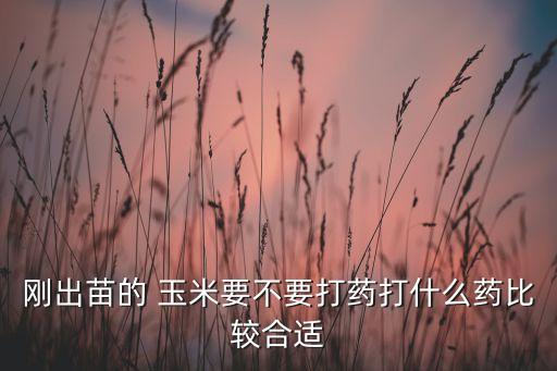 剛出苗的 玉米要不要打藥打什么藥比較合適