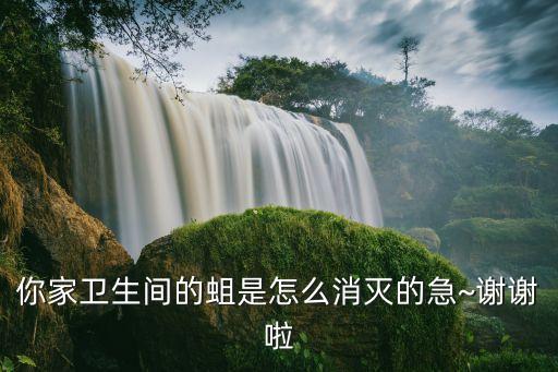 治蠅蛆用什么農藥,什么農藥殺蠅蛆最有效