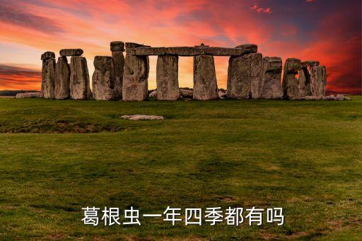  葛根蟲一年四季都有嗎
