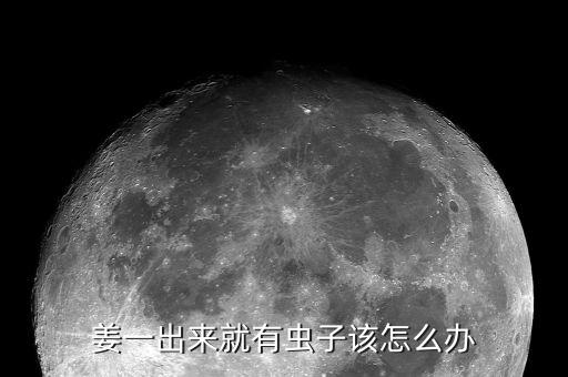 生姜治蟲用什么農藥殺蟲,治地下蟲什么農藥最好