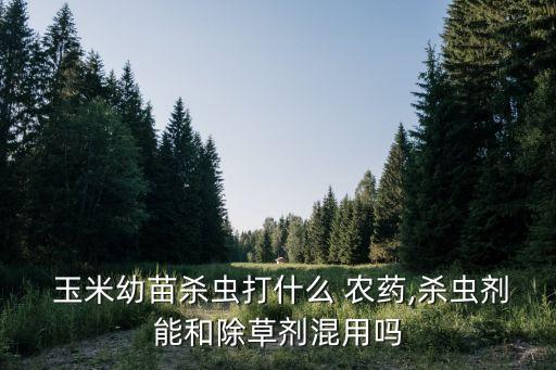  玉米幼苗殺蟲打什么 農(nóng)藥,殺蟲劑能和除草劑混用嗎