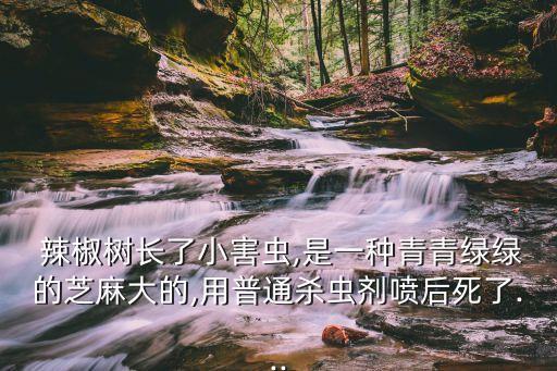 辣椒樹施什么農(nóng)藥,樹辣椒苗圖片