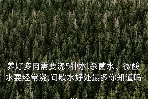 多蟲螨丁是什么農藥,蟲螨是什么原因導致的