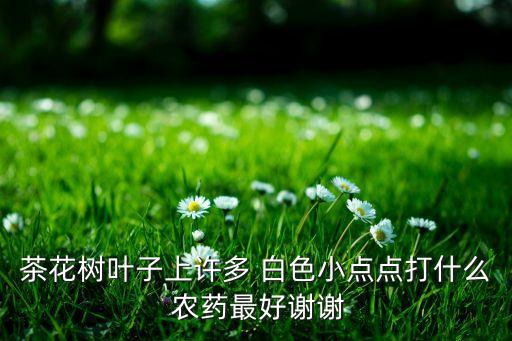 茶花樹葉子上許多 白色小點點打什么 農(nóng)藥最好謝謝