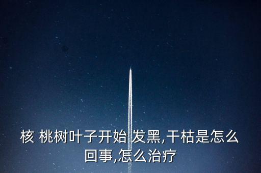核 桃樹葉子開始 發(fā)黑,干枯是怎么回事,怎么治療