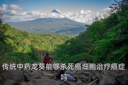 傳統中藥龍葵能夠殺死癌細胞治療癌癥嗎