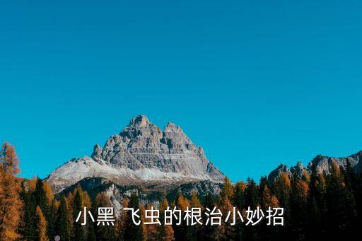 小黑 飛蟲的根治小妙招