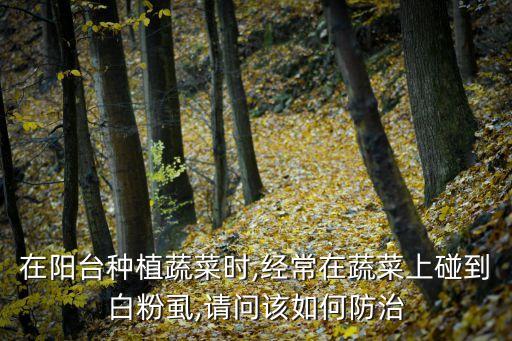 在陽臺種植蔬菜時,經常在蔬菜上碰到白粉虱,請問該如何防治