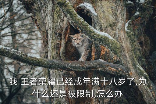 我 王者榮耀已經成年滿十八歲了,為什么還是被限制,怎么辦