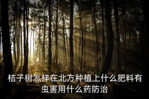 桔子樹要噴什么農(nóng)藥,現(xiàn)在桔子樹打什么農(nóng)藥好