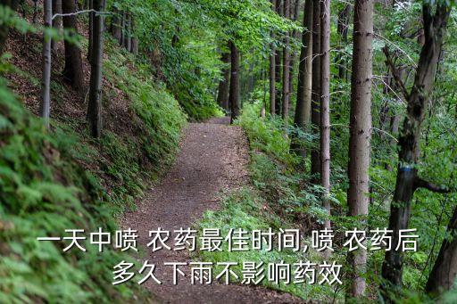 農藥為什么下午打,打農藥下午幾點打最好