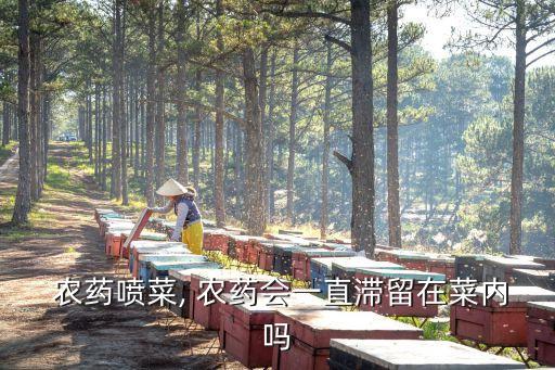  農藥噴菜, 農藥會一直滯留在菜內嗎