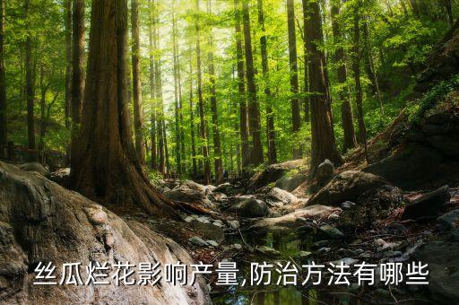 絲瓜爛葉用什么農(nóng)藥打,蔬菜爛葉用什么農(nóng)藥