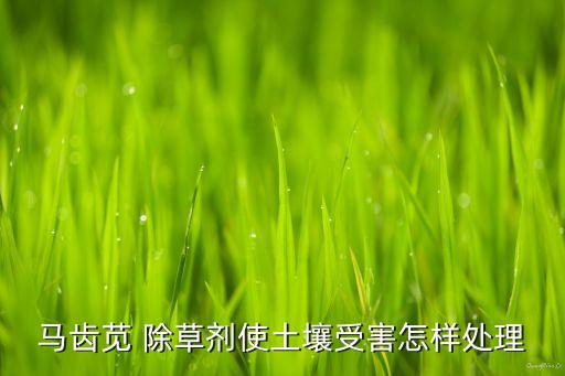 鐵路除草用什么農(nóng)藥,荒山除草用什么農(nóng)藥好?