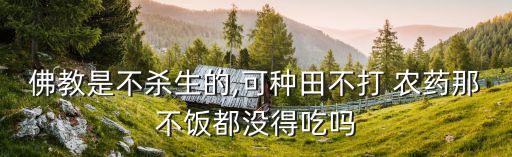 無農藥可以做什么,買的農藥做什么會計科目