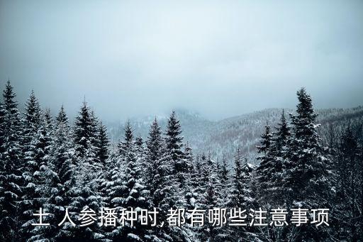 大田地種植人參怕什么農藥,人參最怕什么農藥