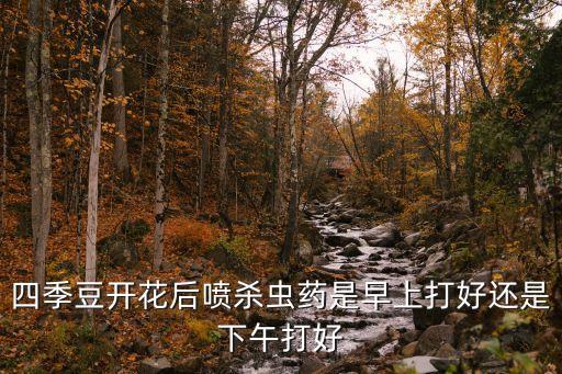 四季豆開花后噴殺蟲藥是早上打好還是下午打好