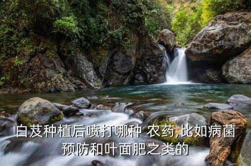 白芨種植后噴打哪種 農藥,比如病菌預防和葉面肥之類的