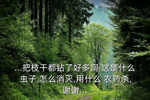 ...把枝干都鉆了好多洞,這是什么 蟲子,怎么消滅,用什么 農(nóng)藥殺,謝謝...