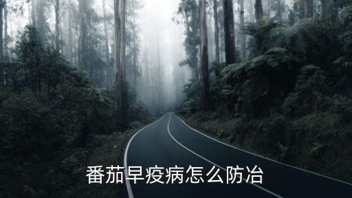 番茄早疫病怎么防冶
