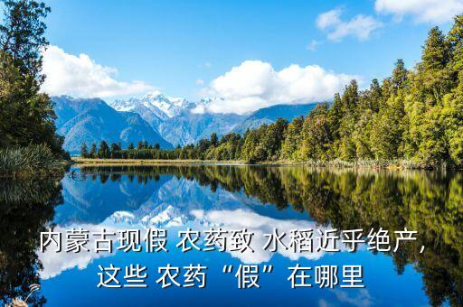 查找 什么農藥水稻不生長,水稻農藥什么時間打效果最好