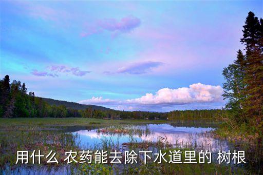 什么農藥腐爛大樹根,樹根生蟲用什么農藥