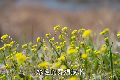 水蛭用什么農藥,水蛭在什么地方比較多