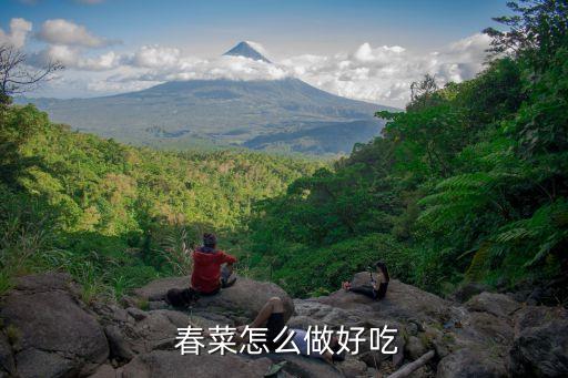  春菜怎么做好吃
