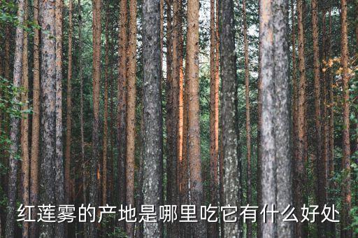 紅蓮霧的產地是哪里吃它有什么好處