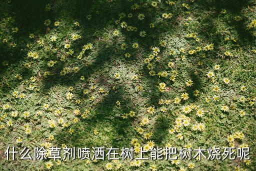 樹死了用什么農(nóng)藥最好,冬季清園用什么農(nóng)藥最好