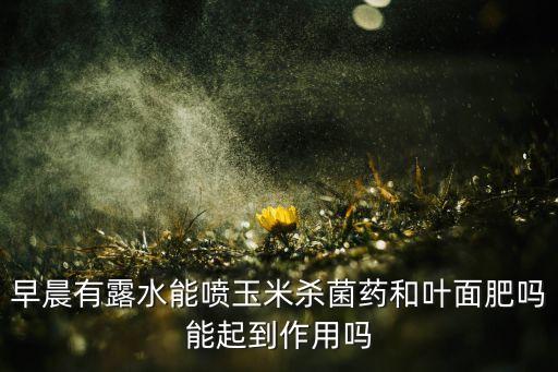 清晨打什么農藥最好用最快,一般什么時間打農藥最好