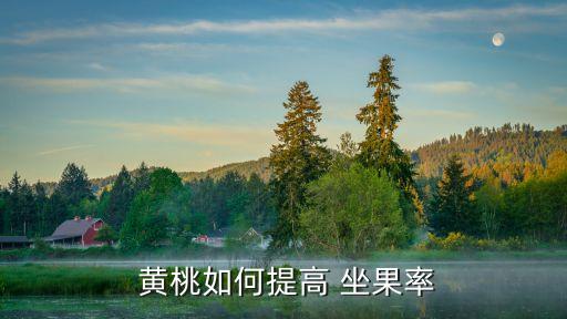 黃桃坐果打什么農藥好