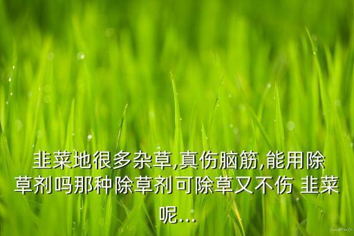 什么農(nóng)藥殺死韭菜根子