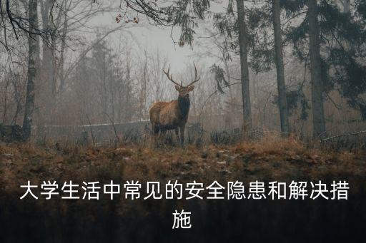  大學生活中常見的安全隱患和解決措施
